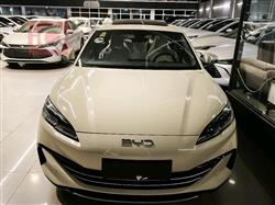 بي واي دي سيل 06 DM-i